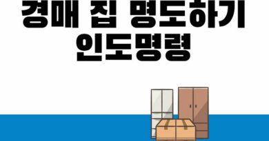 경매 인도명령