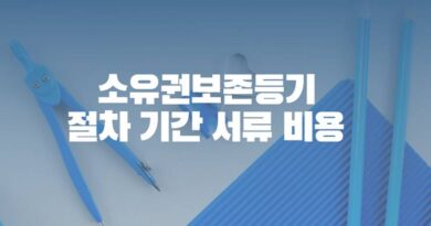 소유권 보존 등기