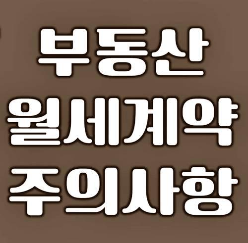 월세계약 주의사항