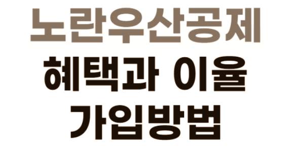 노란우산공제 1